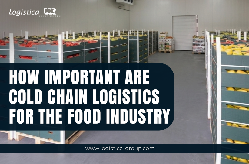 How Important are Cold Chain Logistics in Food Industry|Logistica|Blogs